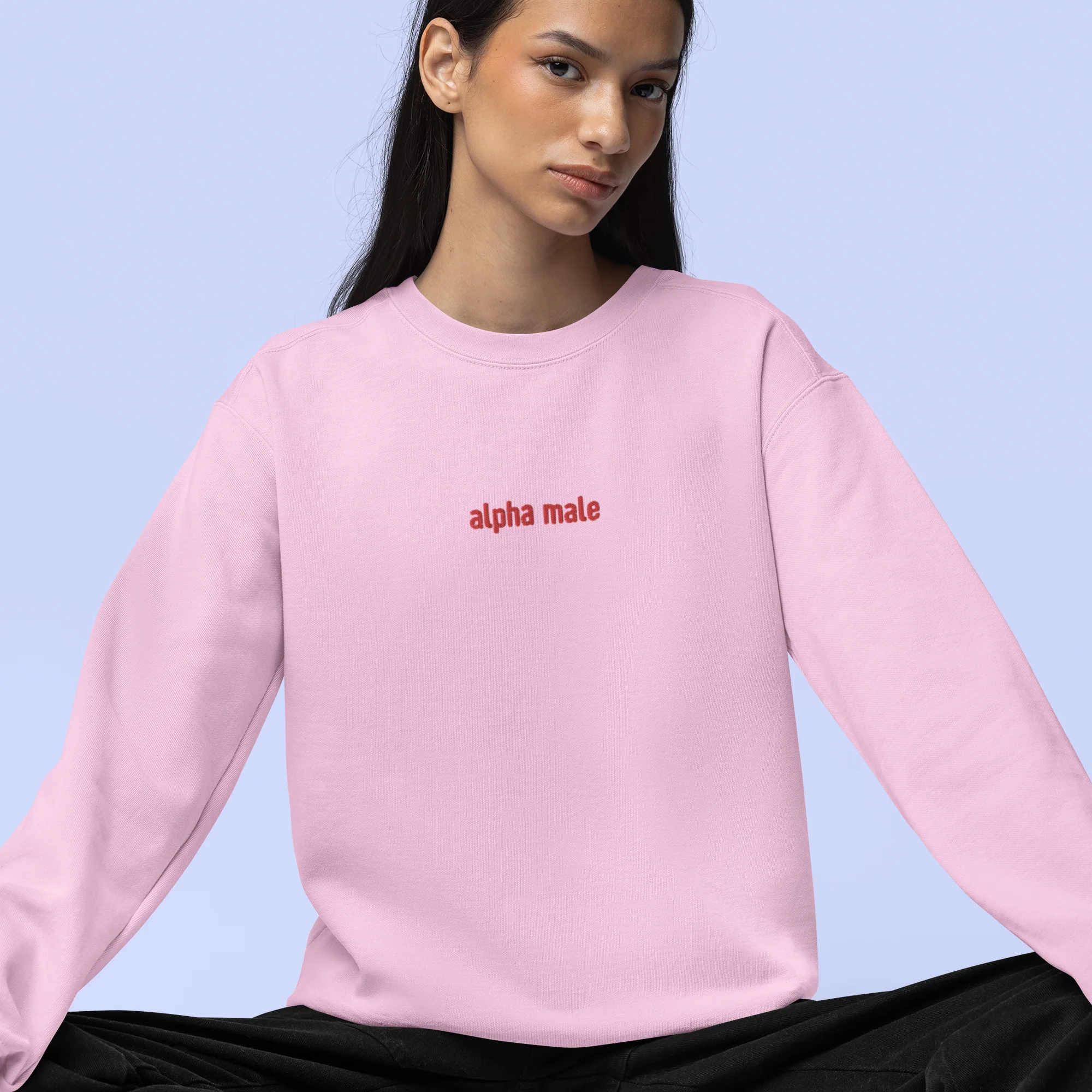 Alpha Male Feminist Embroidered Sweatshirt - Image 2