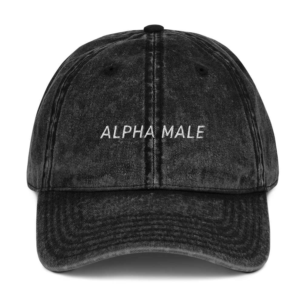 Alpha Male Feminist Embroidered Vintage Cap - Image 3