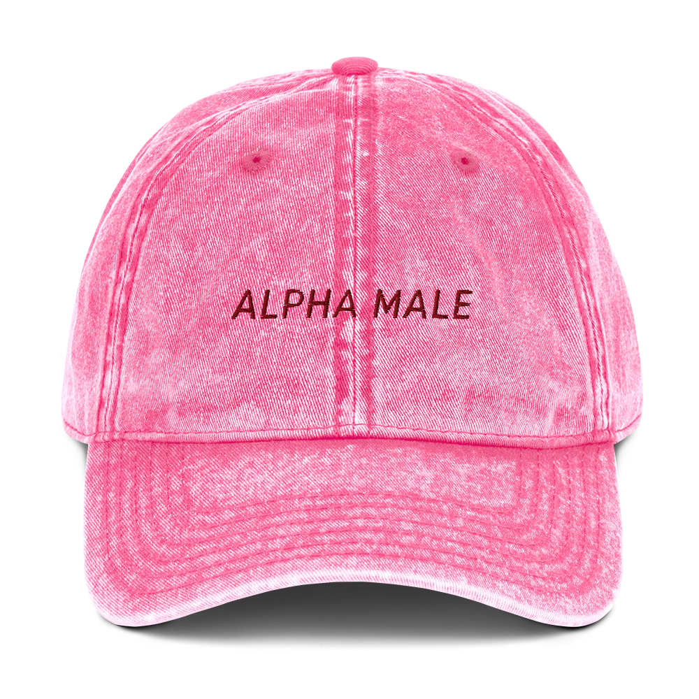 Alpha Male Feminist Embroidered Vintage Cap - Image 4