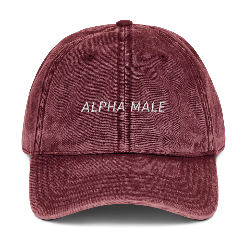Alpha Male Feminist Embroidered Vintage Cap - Image 7