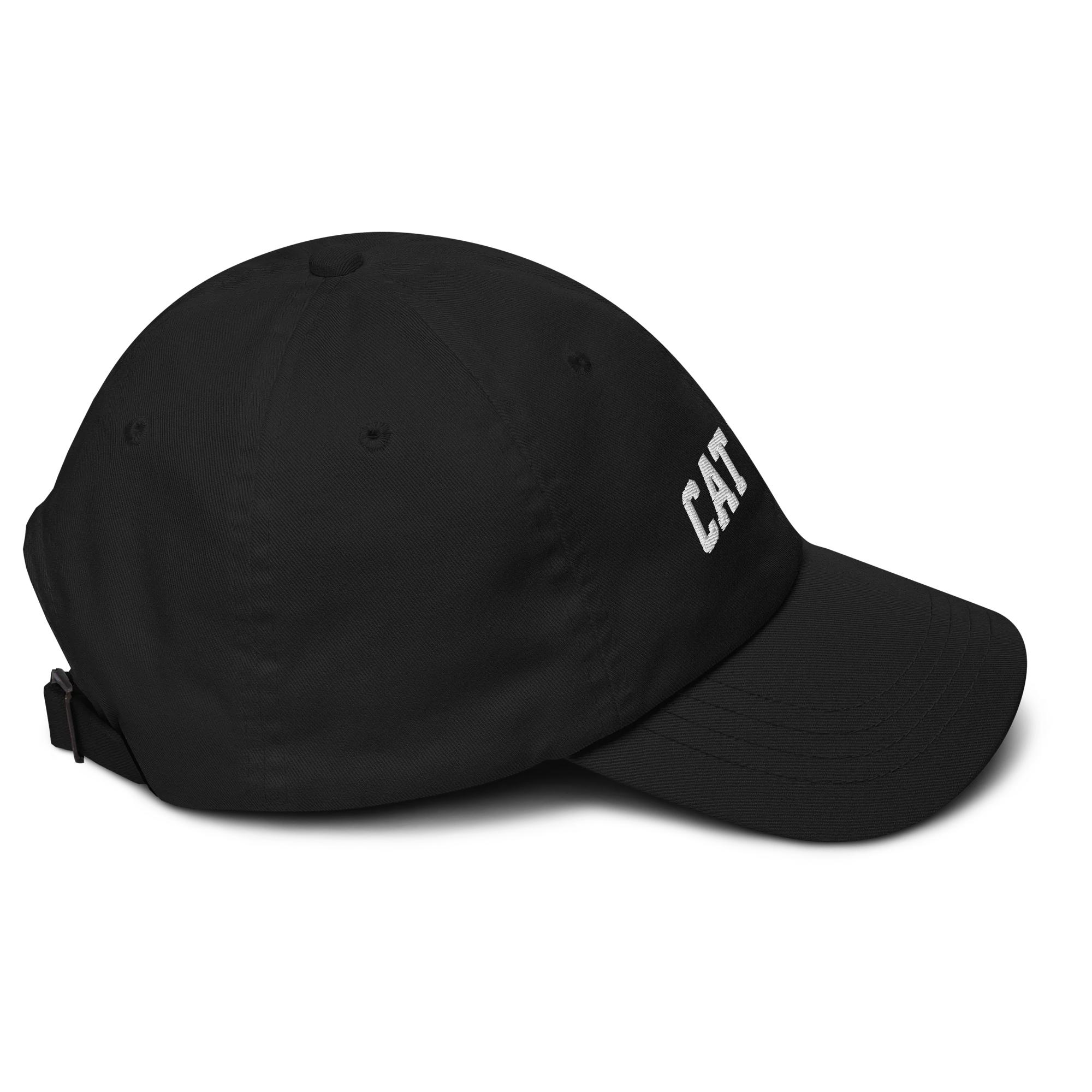 Cat Dad Embroidered Cap - Image 3
