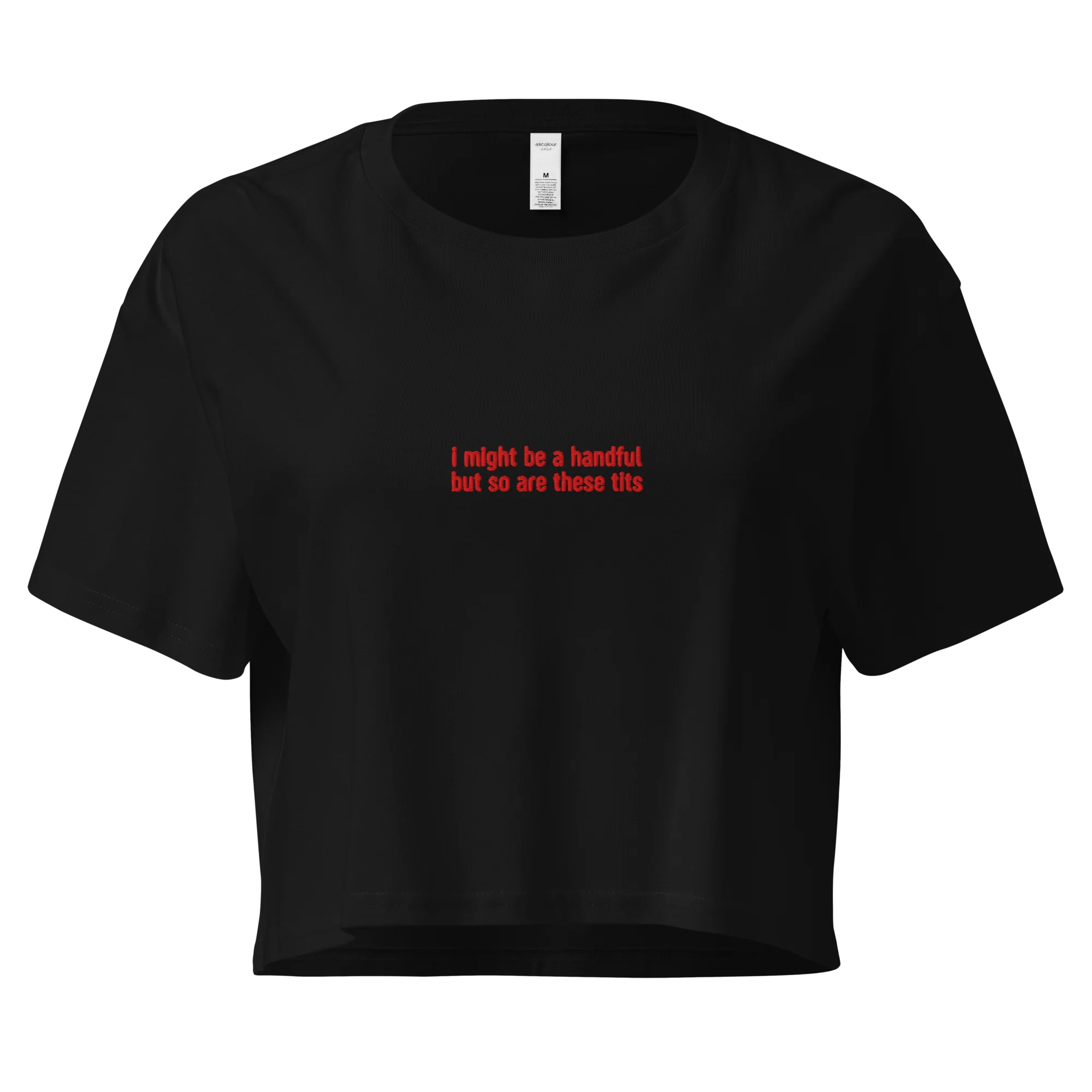 I Might Be a Handful So Are These Tits Embroidered Crop Tee - Image 4