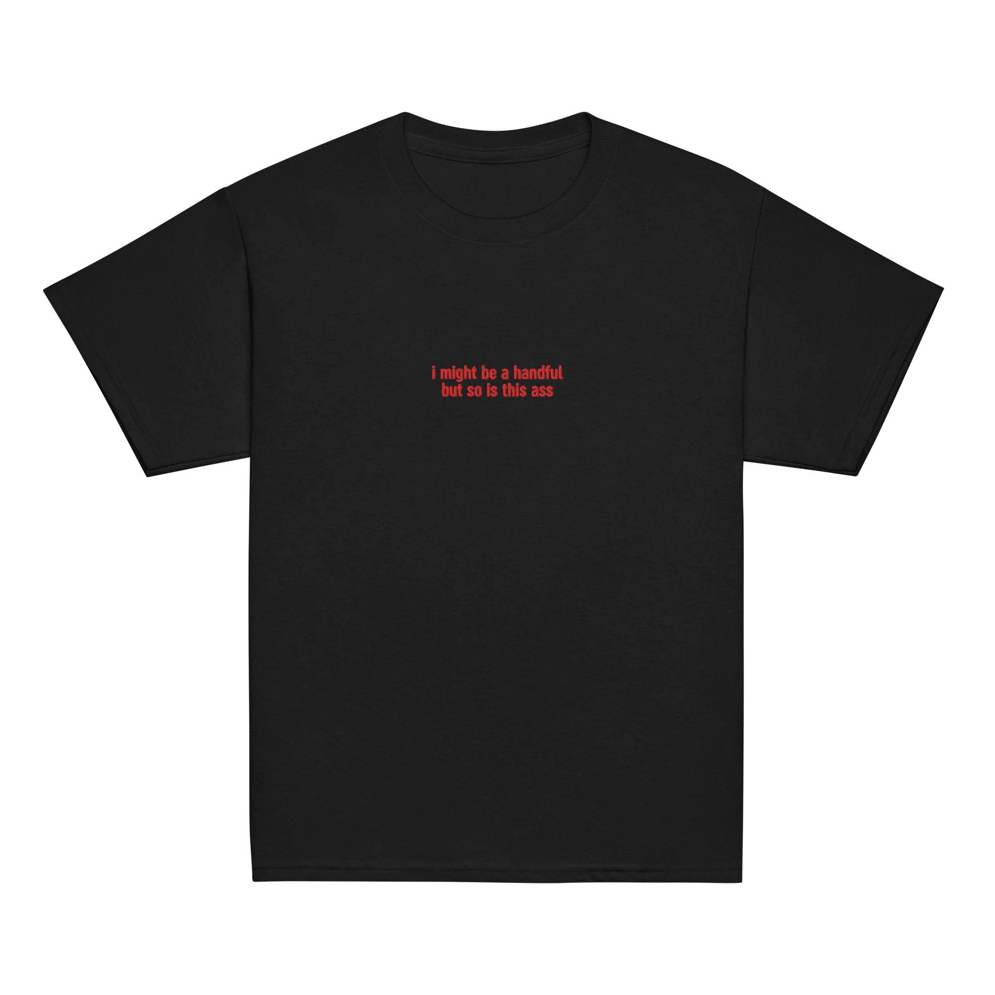 I Might Be a Handful So is This Ass Embroidered Baby Tee - Image 11