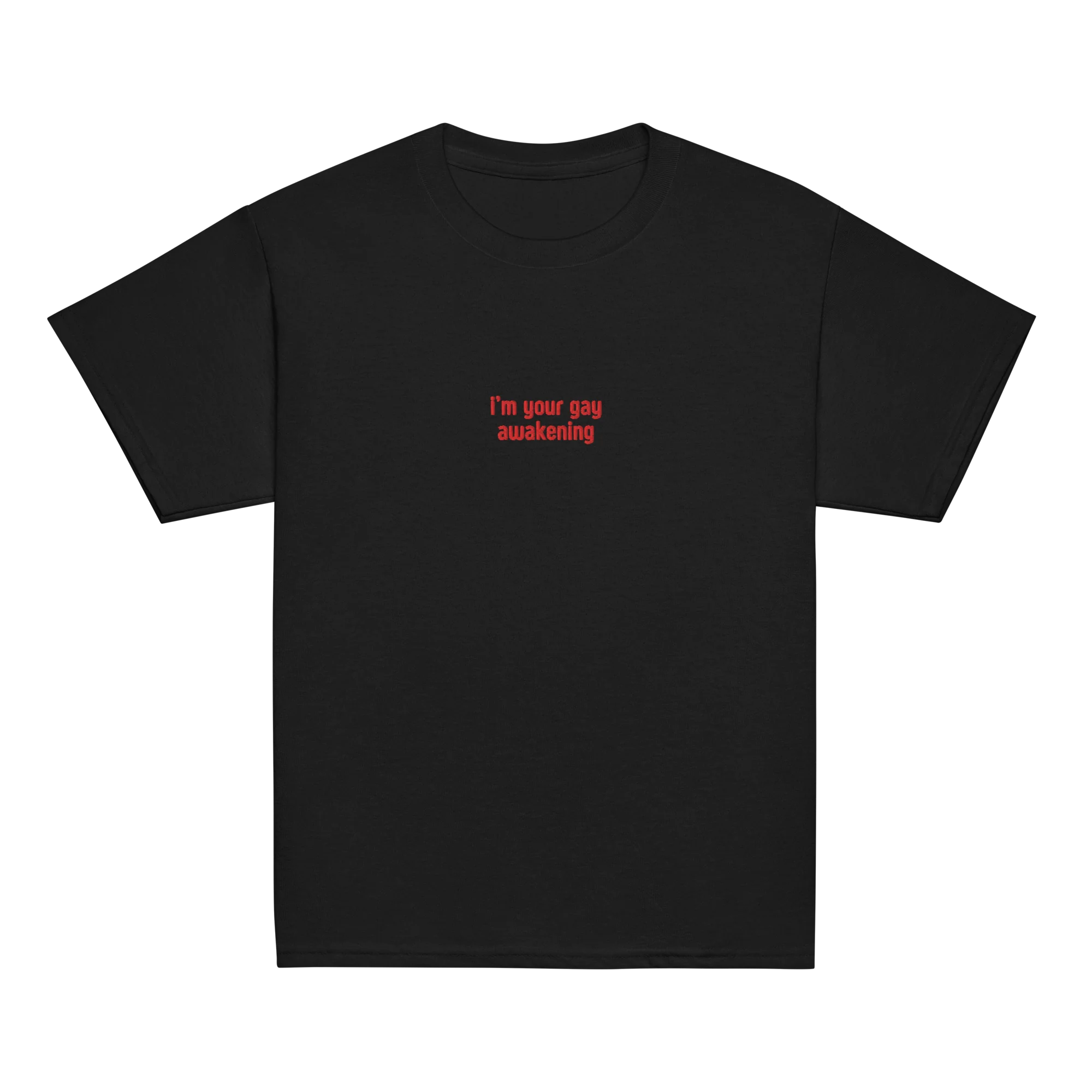I'm Your Gay Awakening Embroidered Baby Tee - Image 11