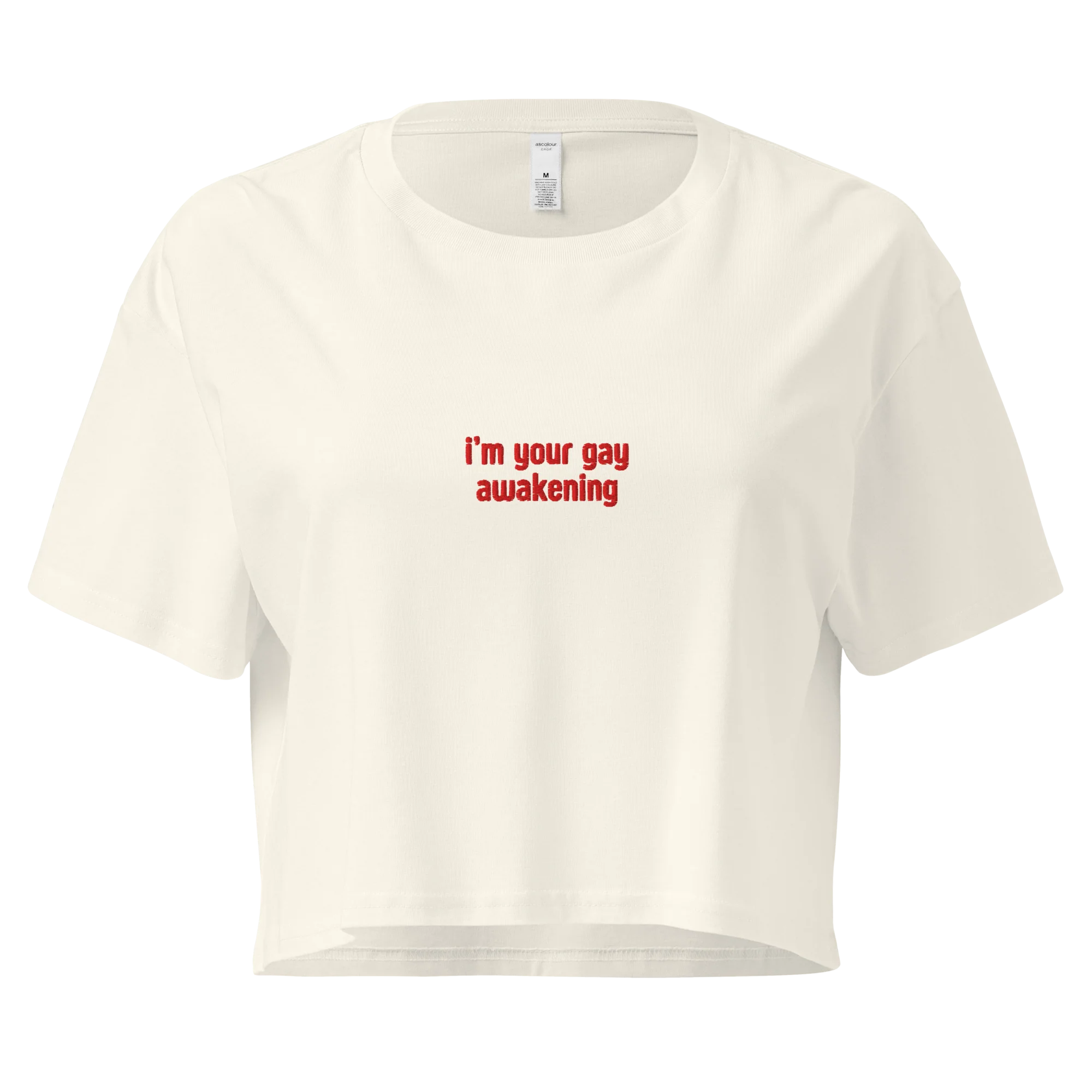 I'm Your Gay Awakening Embroidered Crop Tee - Image 3