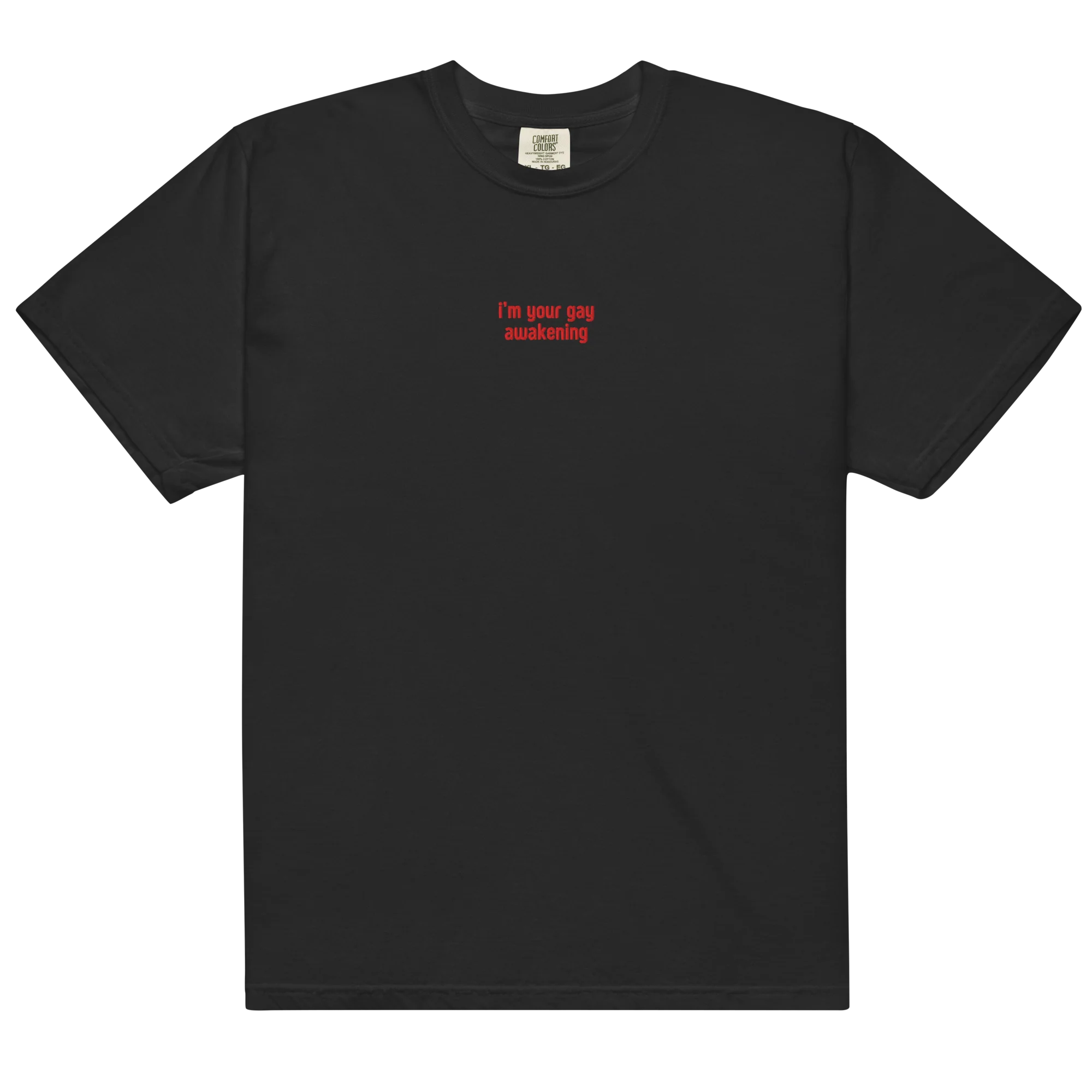 I'm Your Gay Awakening Embroidered Classic T-Shirt - Image 13