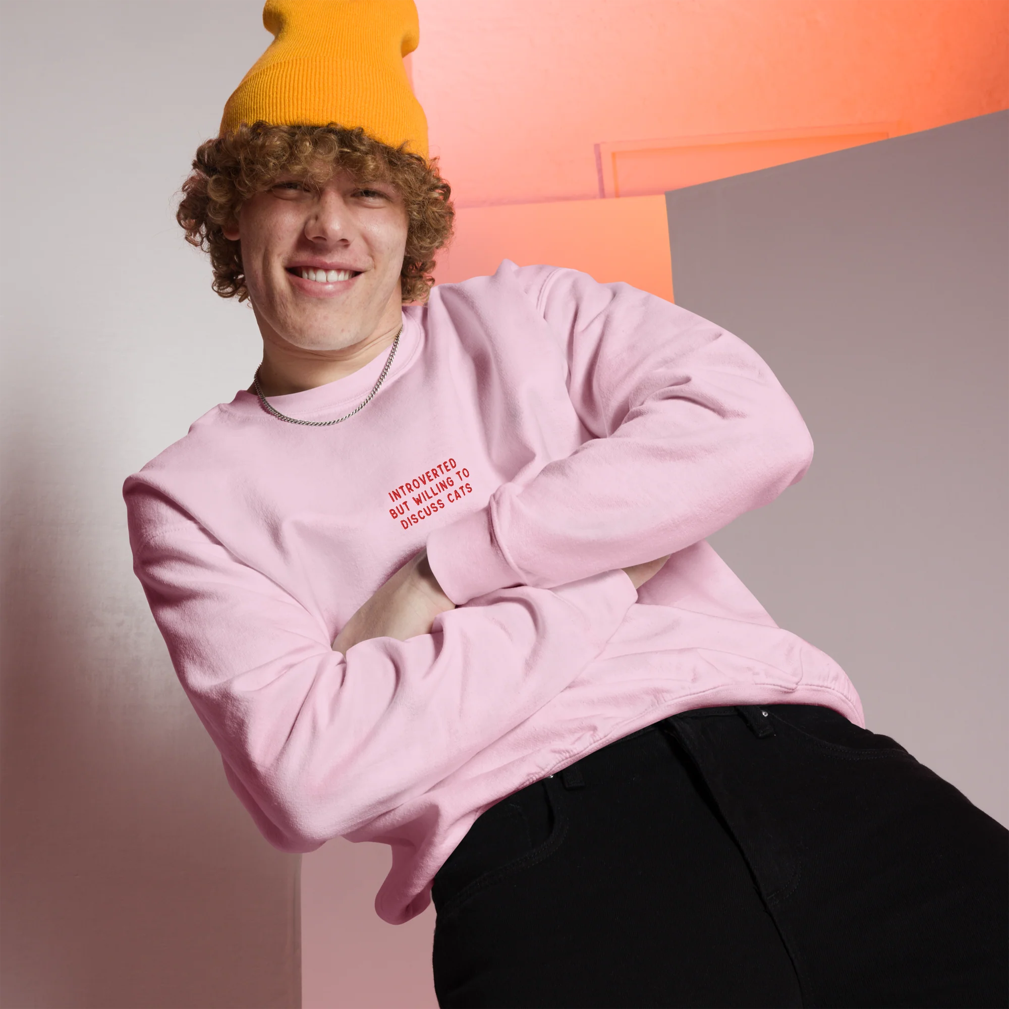 Introverted But Willing To Discuss Cats Embroidered Sweatshirt - Image 7