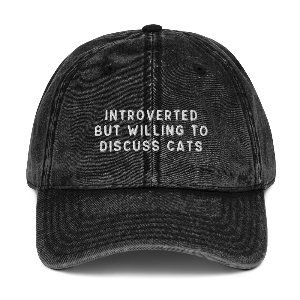 Introverted But Willing To Discuss Cats Embroidered Vintage Cap - Image 4