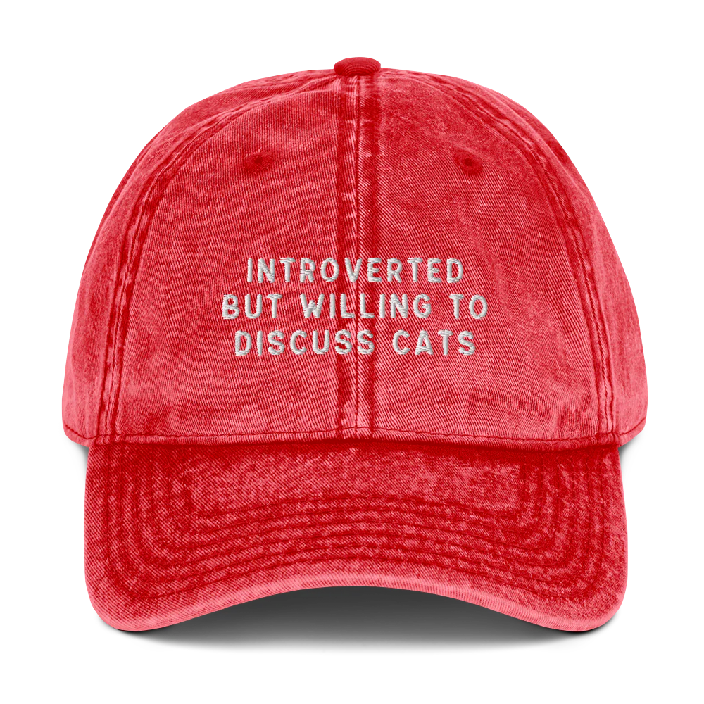 Introverted But Willing To Discuss Cats Embroidered Vintage Cap - Image 7