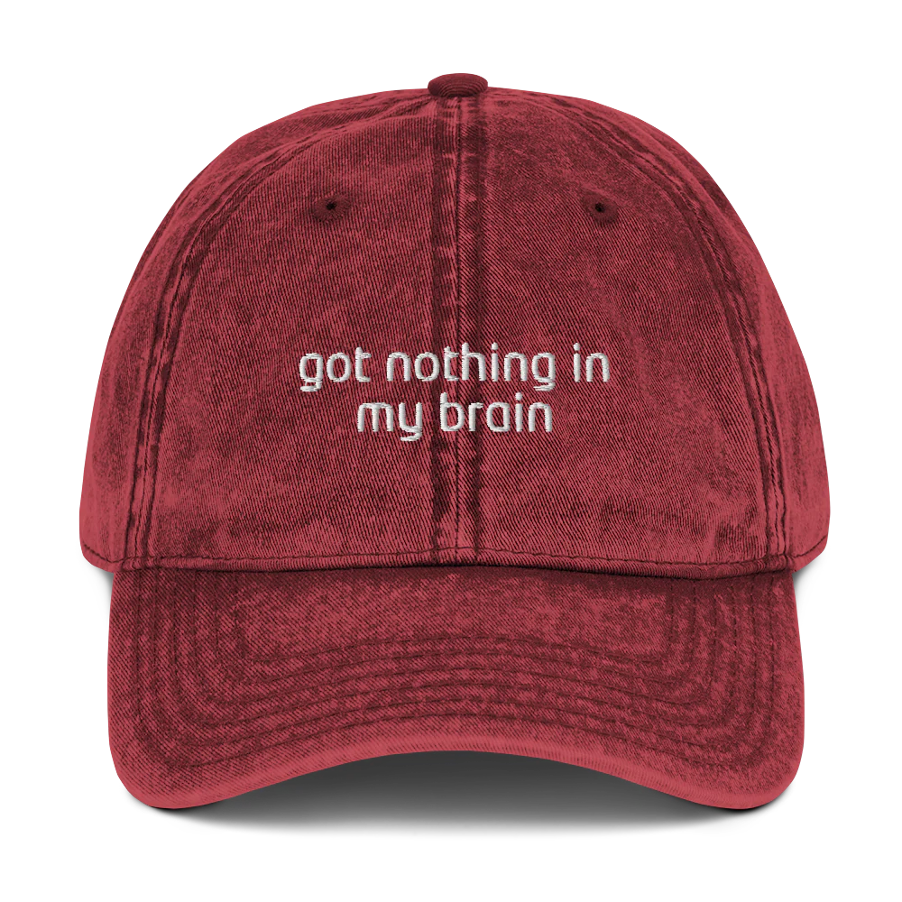 Got Nothing In My Brain Shake It Off Embroidered Vintage Cap