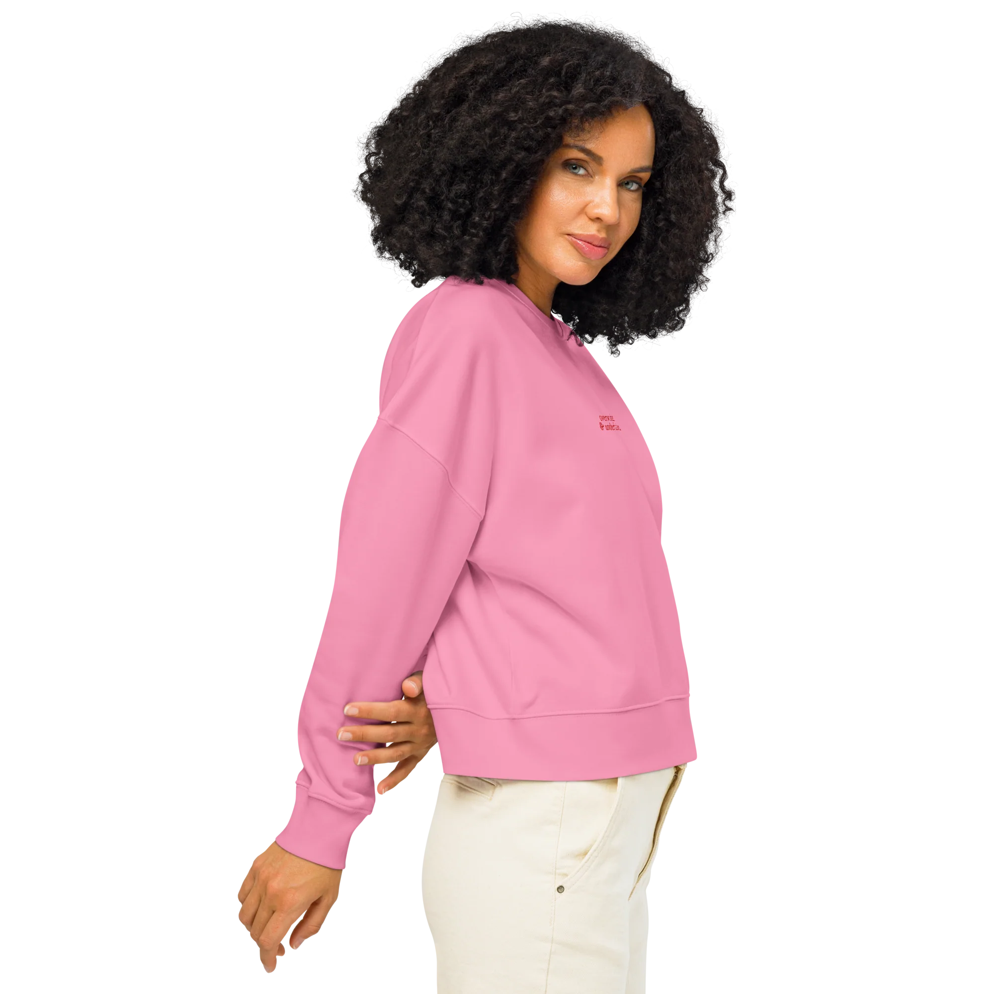 Overworked and Underfucked Embroidered Women’s Organic Sweatshirt - Image 6