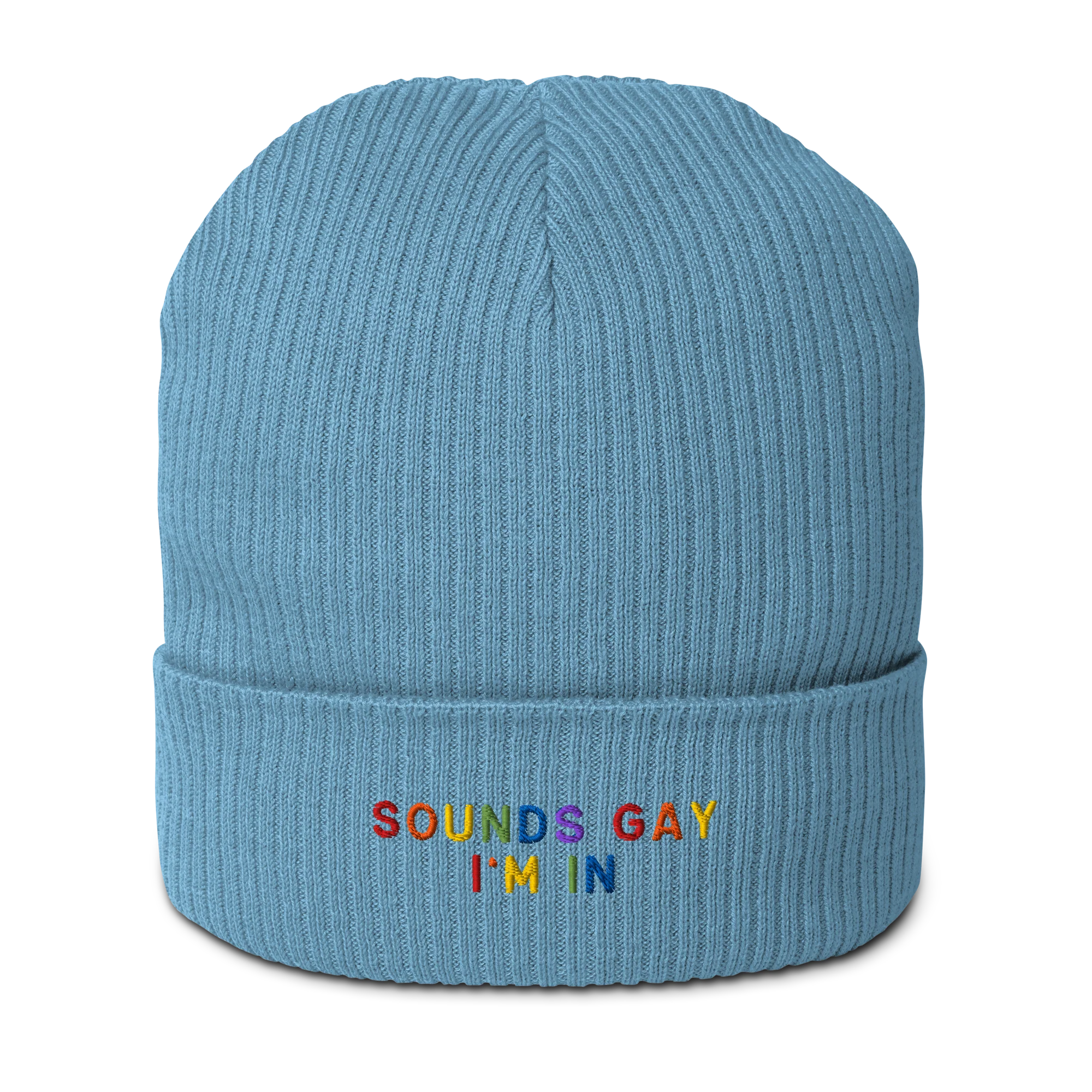 Sounds Gay I'm In Pride Embroidered Organic Ribbed Beanie