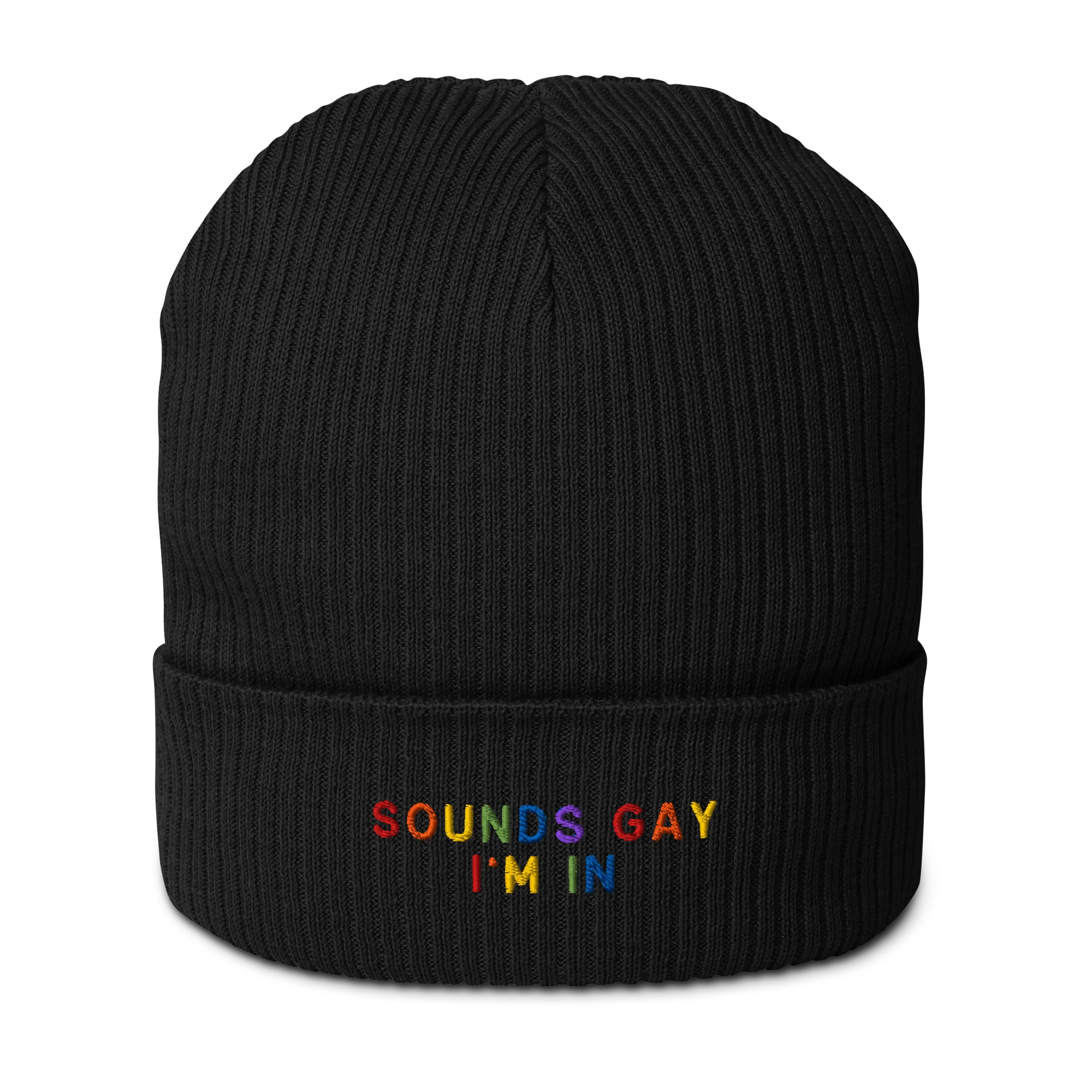 Sounds Gay I'm In Pride Embroidered Organic Ribbed Beanie - Image 10