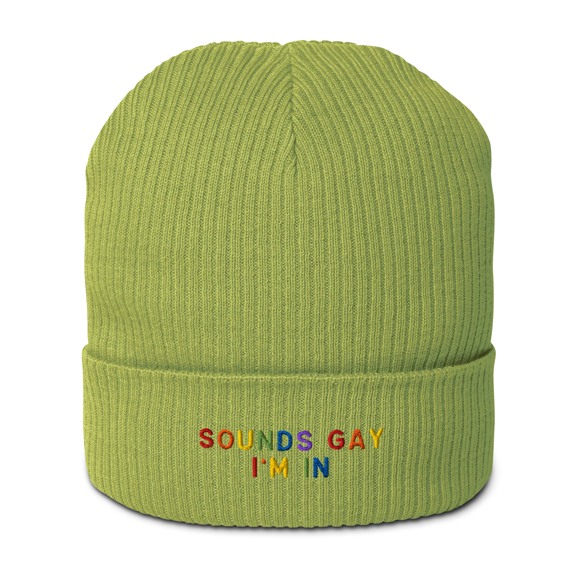 Sounds Gay I'm In Pride Embroidered Organic Ribbed Beanie - Image 3
