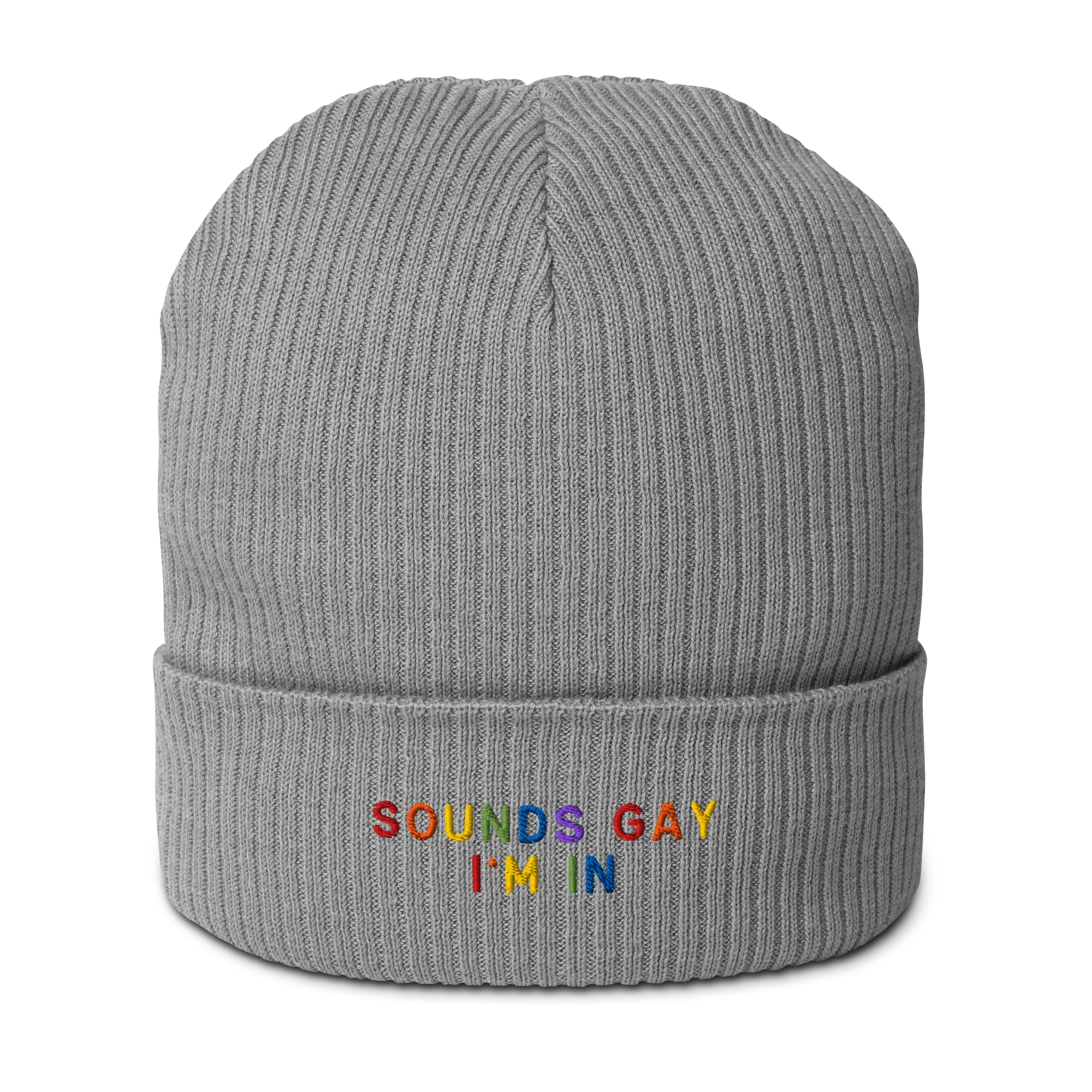 Sounds Gay I'm In Pride Embroidered Organic Ribbed Beanie - Image 6