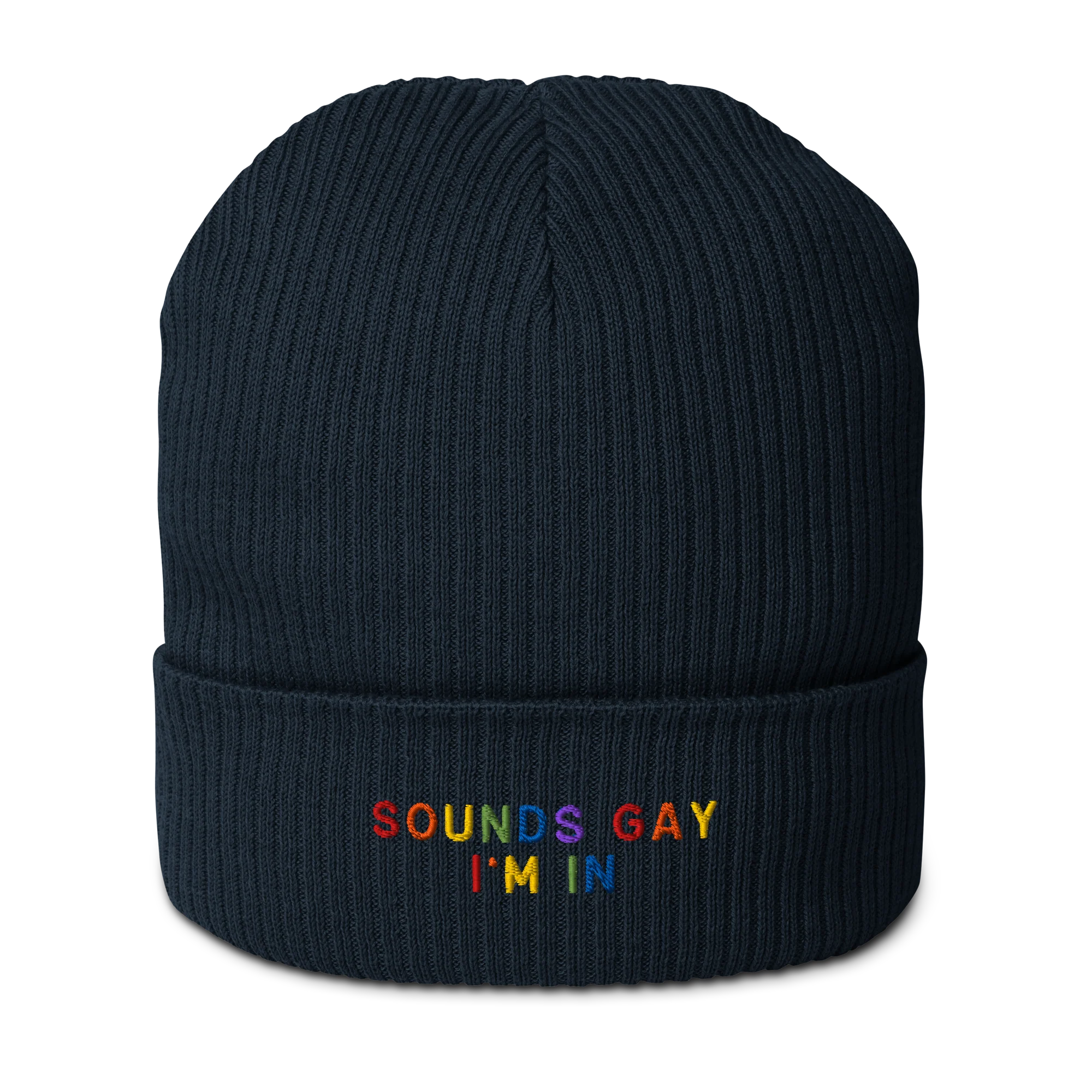 Sounds Gay I'm In Pride Embroidered Organic Ribbed Beanie - Image 7