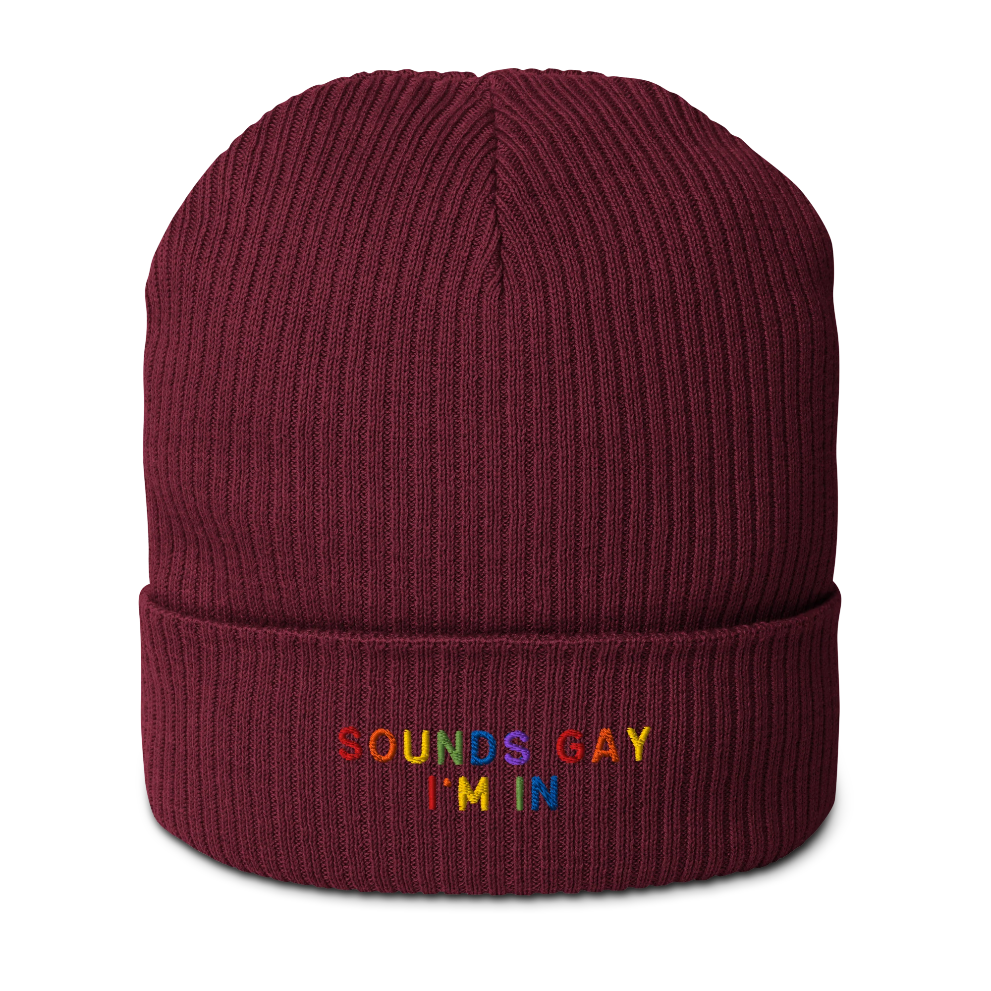 Sounds Gay I'm In Pride Embroidered Organic Ribbed Beanie - Image 9