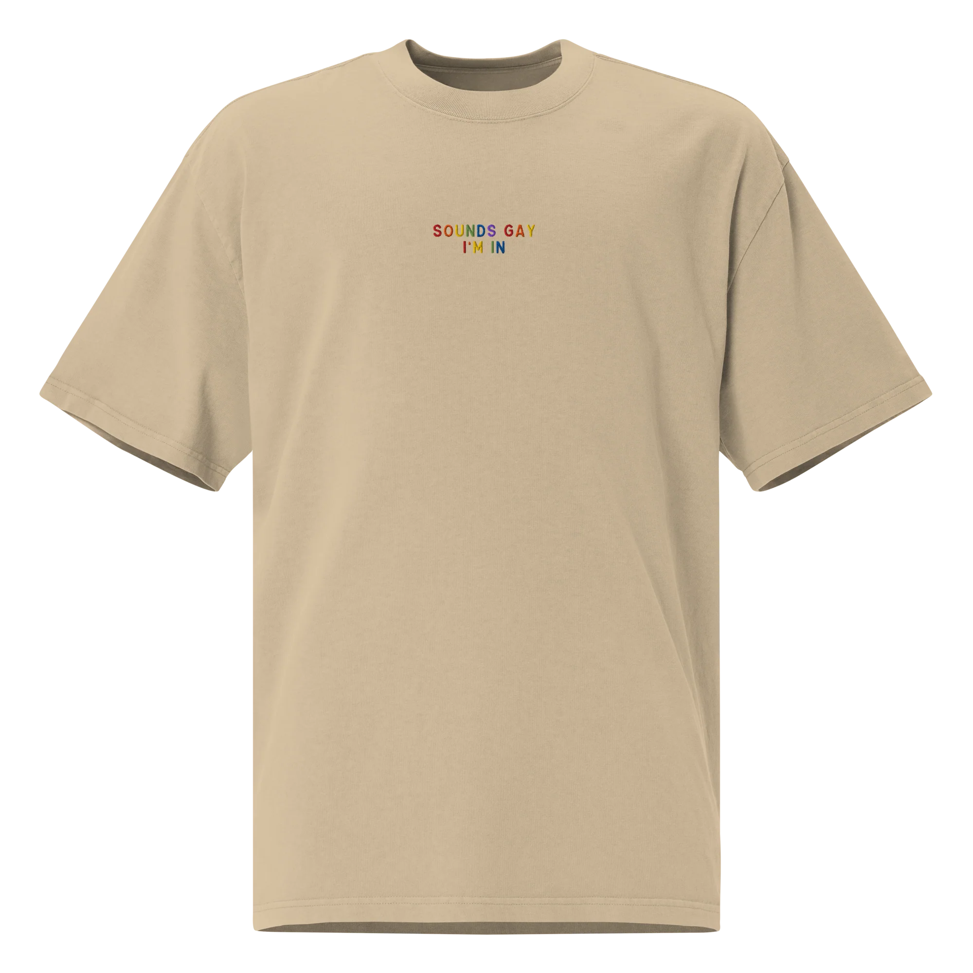 Sounds Gay I'm In Pride Embroidered Oversized Faded T-Shirt - Image 4