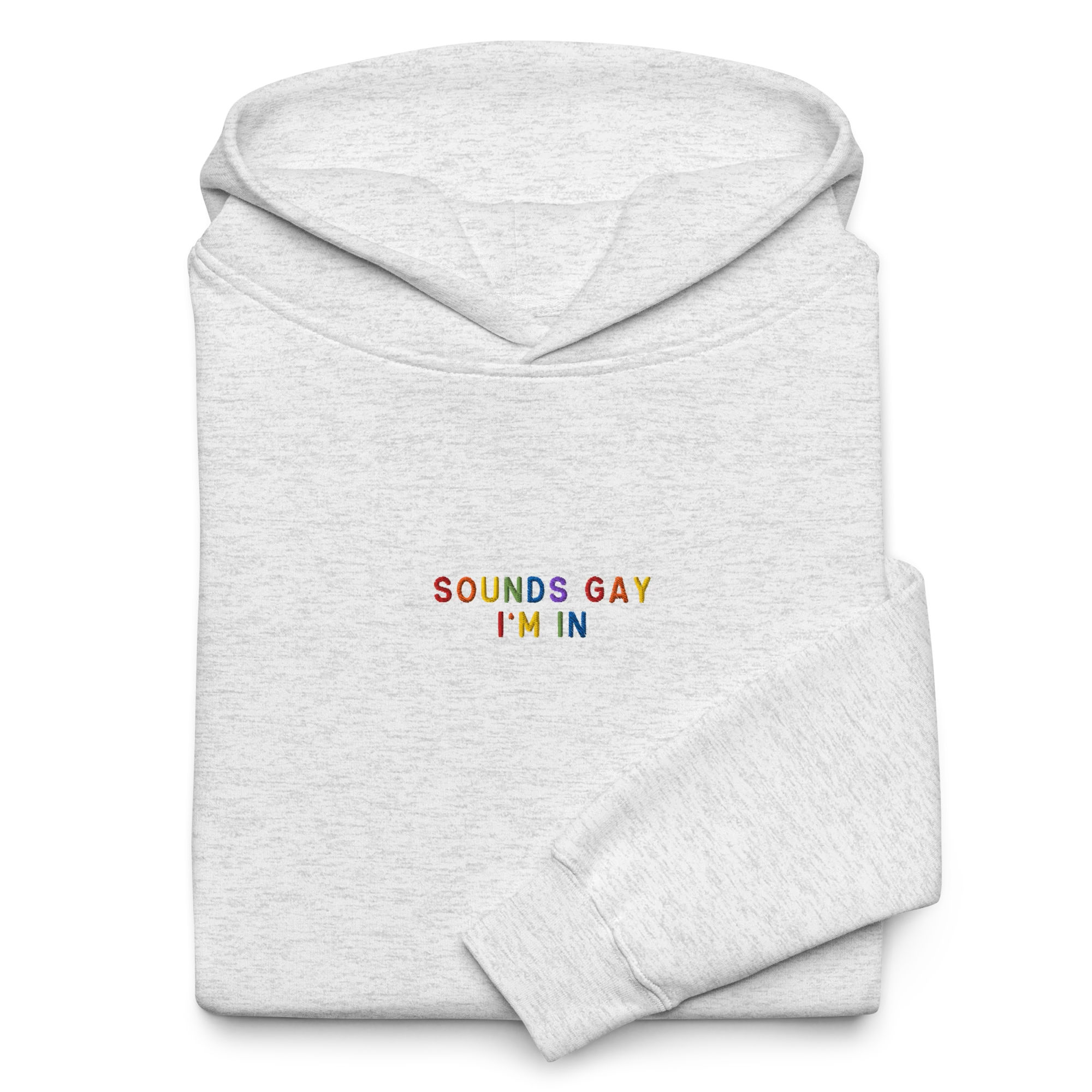 Sounds Gay I'm In Pride Embroidered Premium Oversized Hoodie - Image 3
