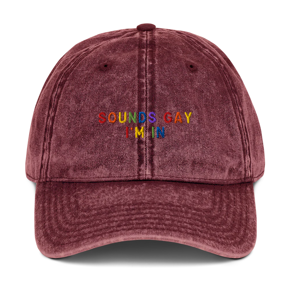 Sounds Gay I'm In Pride Embroidered Vintage Cap - Image 4