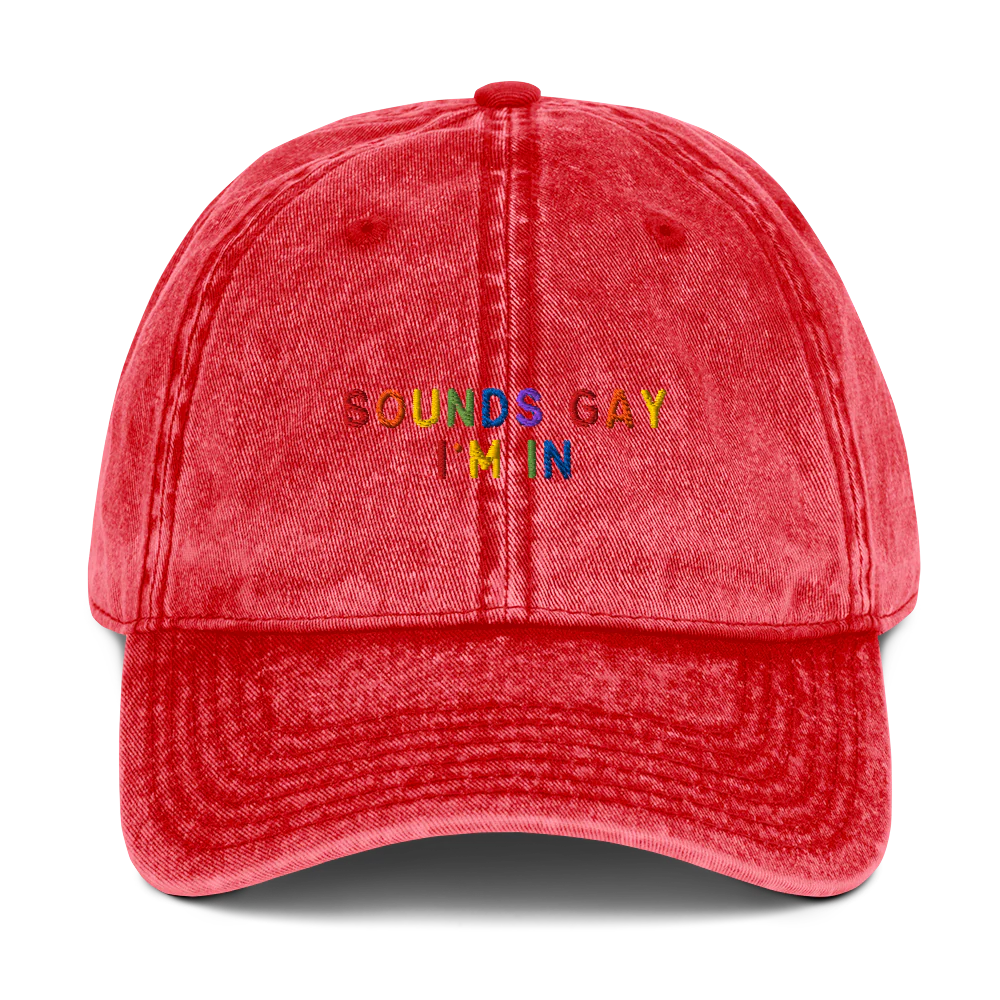 Sounds Gay I'm In Pride Embroidered Vintage Cap - Image 8