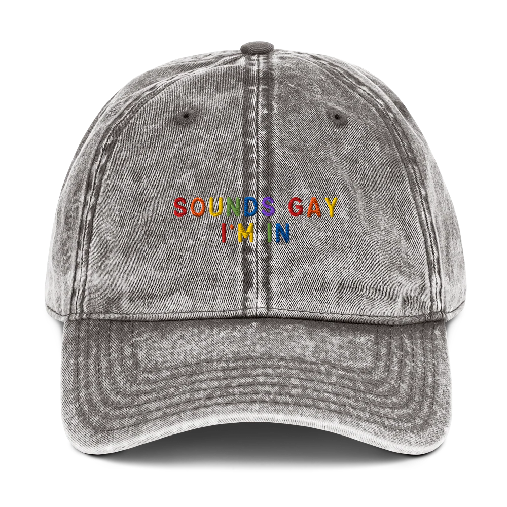 Sounds Gay I'm In Pride Embroidered Vintage Cap - Image 9