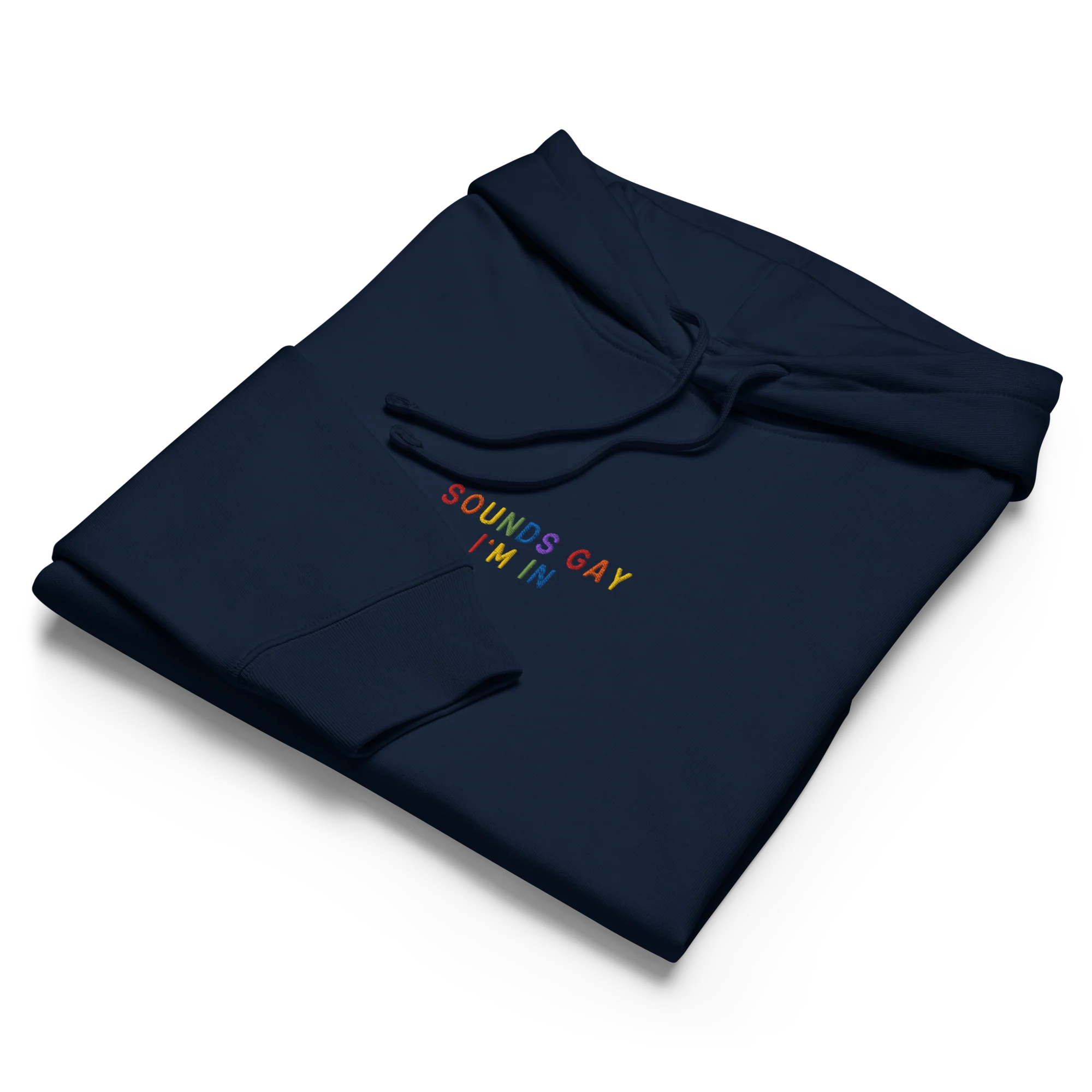 Sounds Gay I'm In Pride Embroidered Women’s Organic Hoodie - Image 3