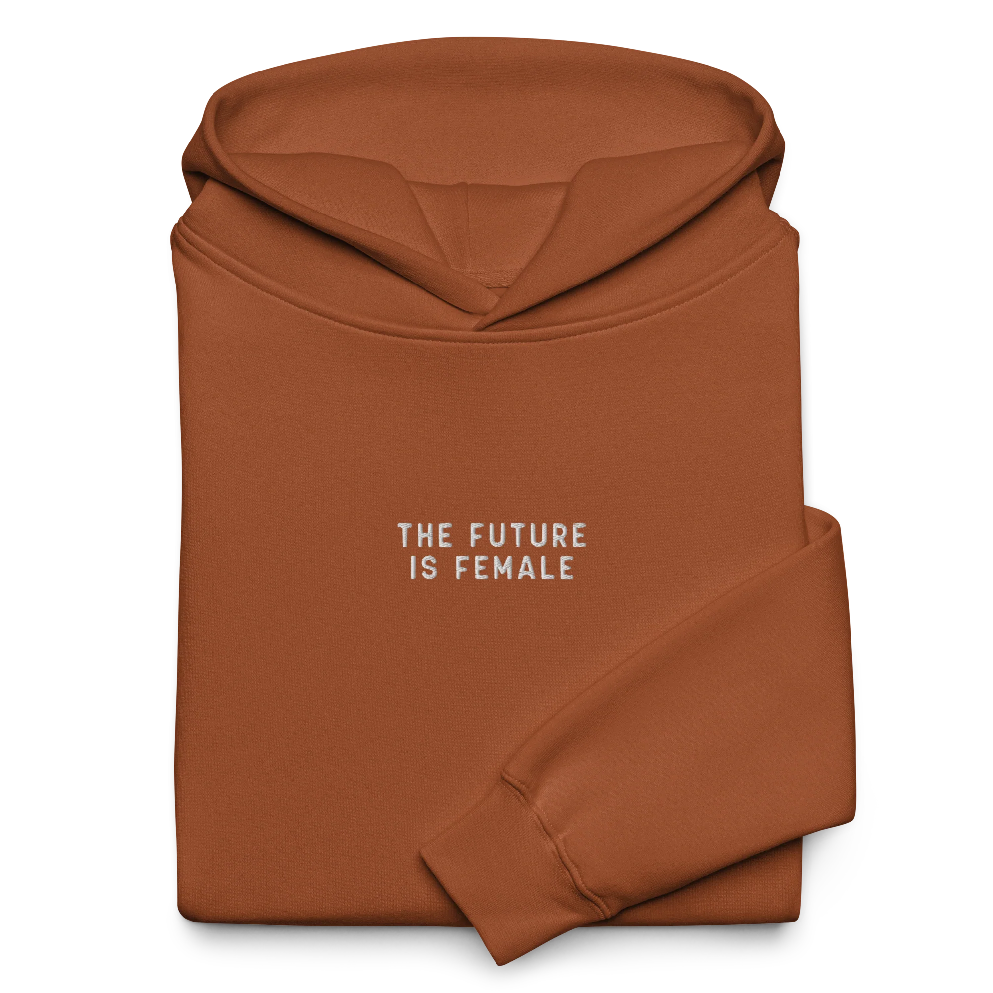 The Future Is Female Embroidered Premium Oversized Hoodie - Image 3