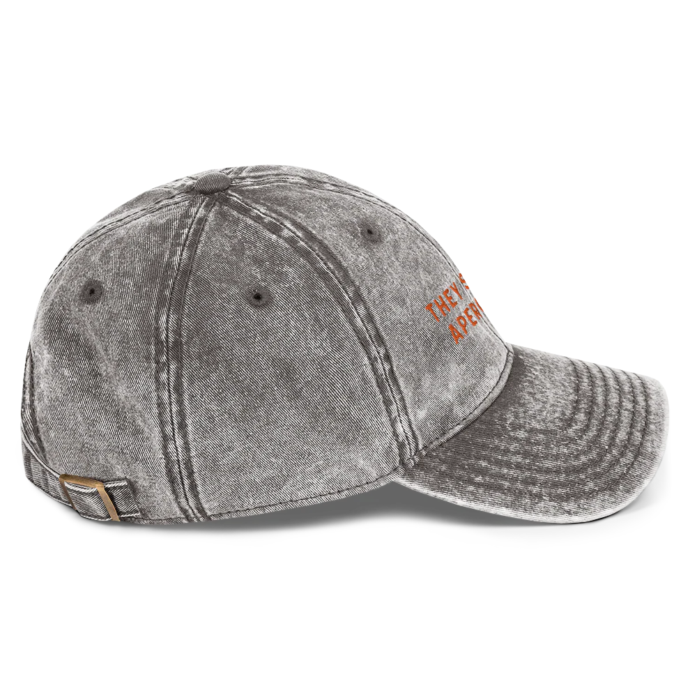 They See Me Aperollin' Embroidered Vintage Cap - Image 10