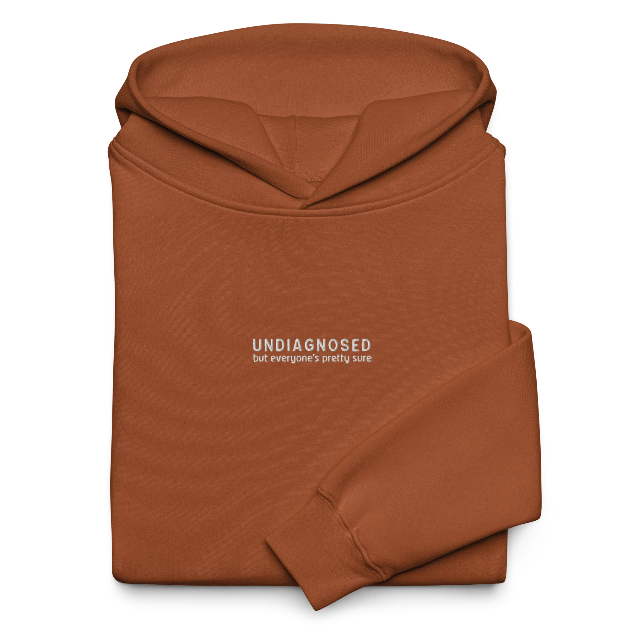 Undiagnosed But Everyone's Pretty Sure Embroidered Premium Oversized Hoodie - Image 3