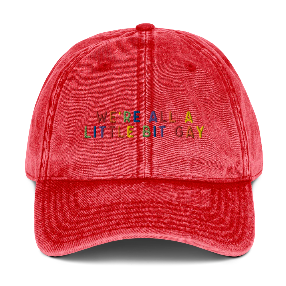 We're All A Little Bit Gay Pride Embroidered Vintage Cap - Image 8